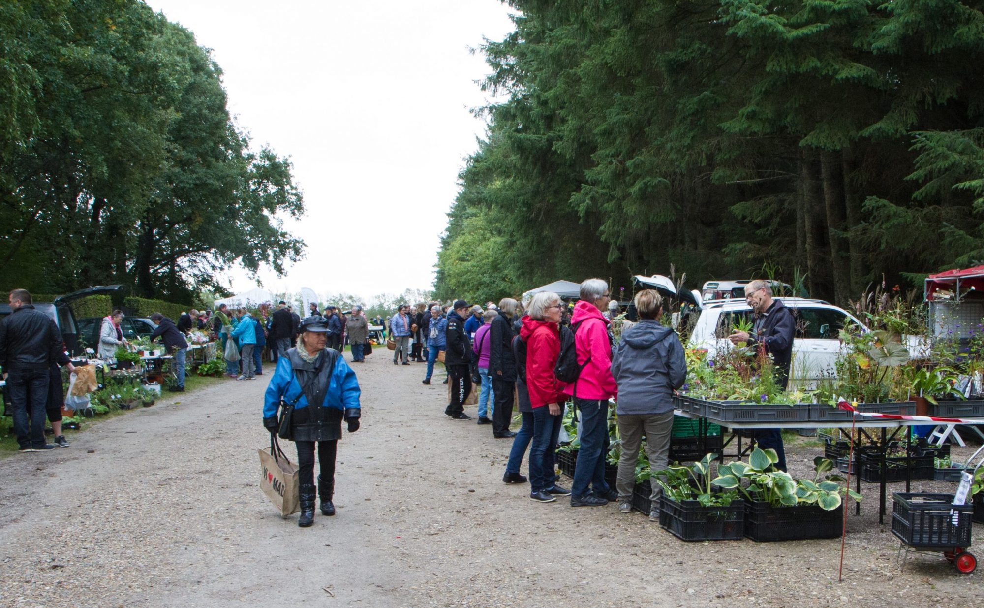 24. SEPTEMBER Plantemarked